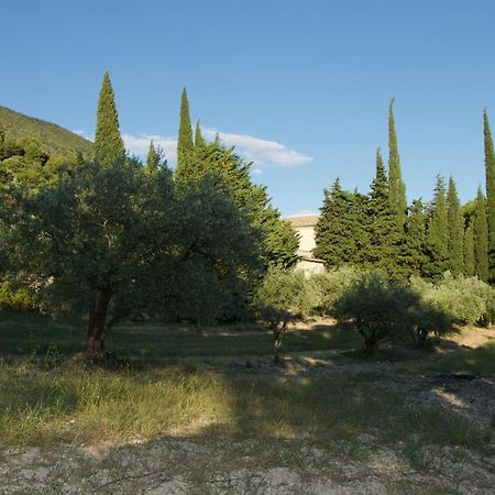 Mas provençal La Serallère au coeur des oliviers Venterol  Extérieur photo