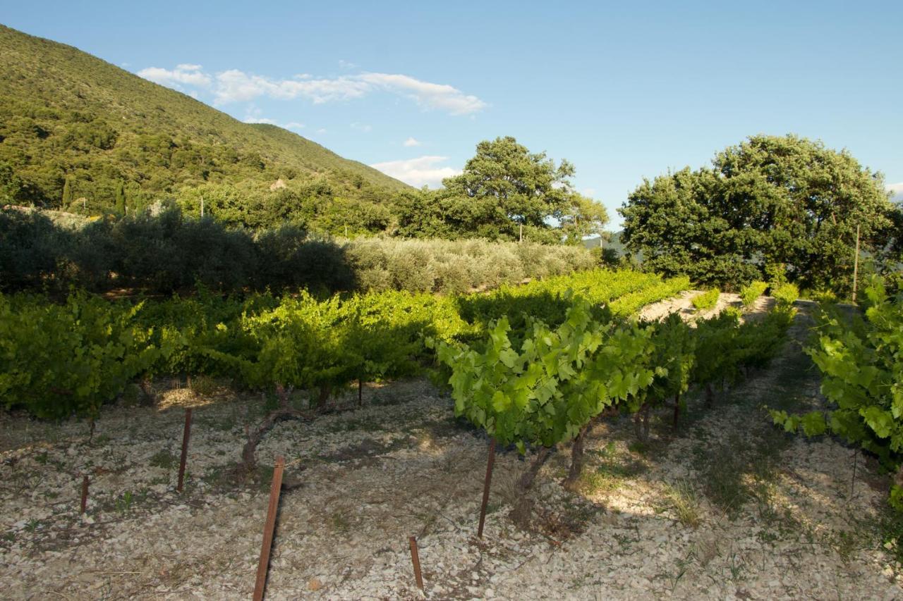 Mas provençal La Serallère au coeur des oliviers Venterol  Extérieur photo