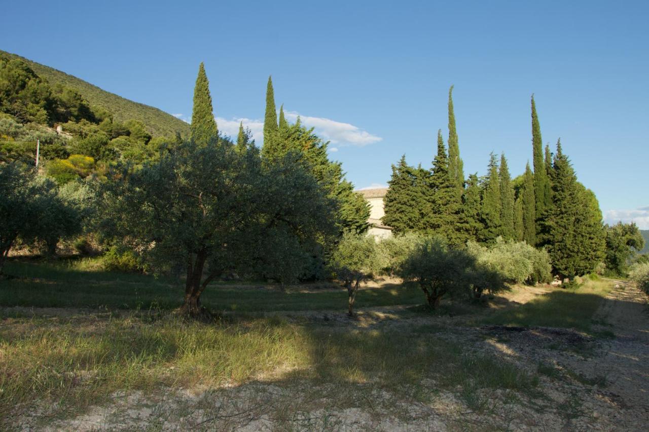 Mas provençal La Serallère au coeur des oliviers Venterol  Extérieur photo
