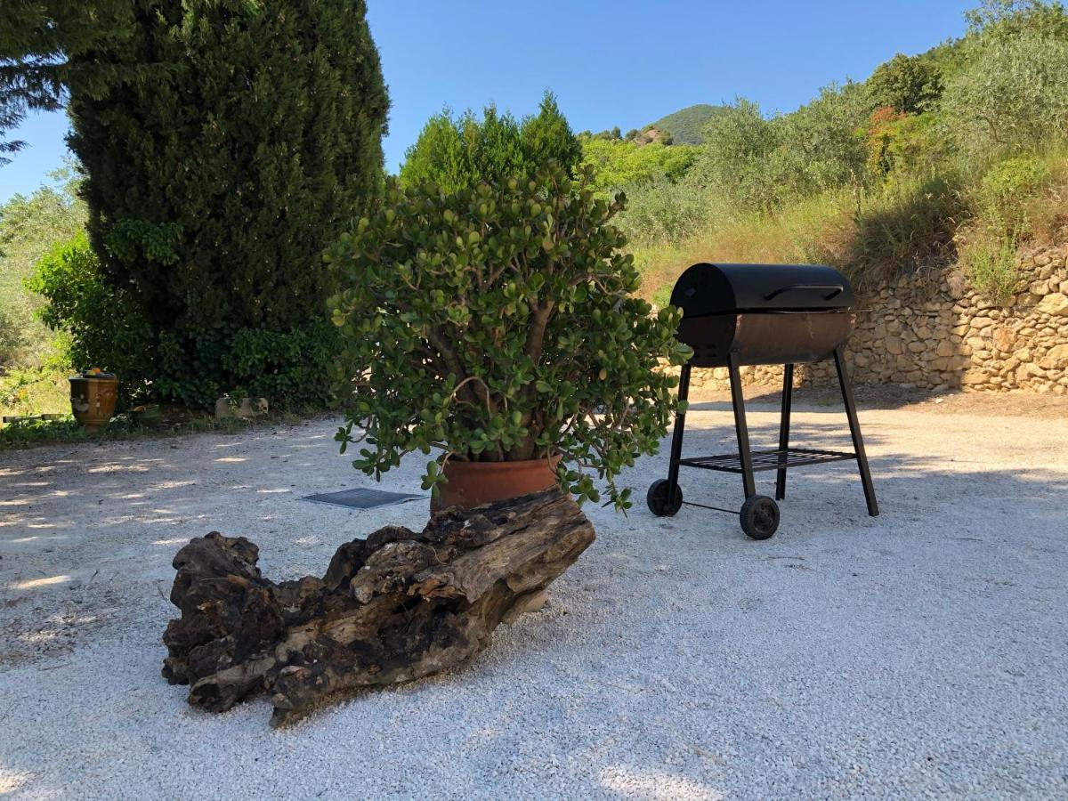 Mas provençal La Serallère au coeur des oliviers Venterol  Extérieur photo